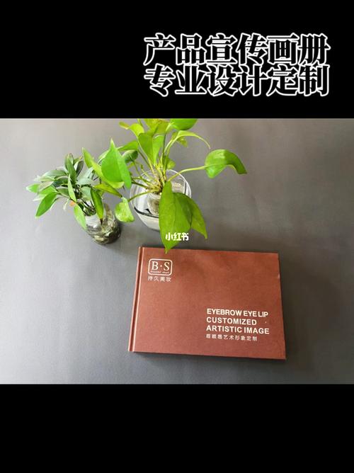 的发展,是很有必要的